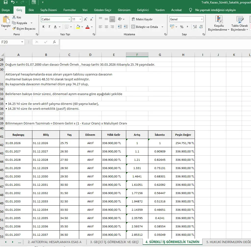 Excel Sayfa Görüntüsü